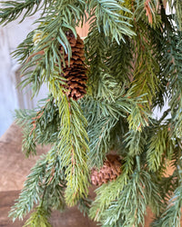 White Spruce With Pine Cones Collection