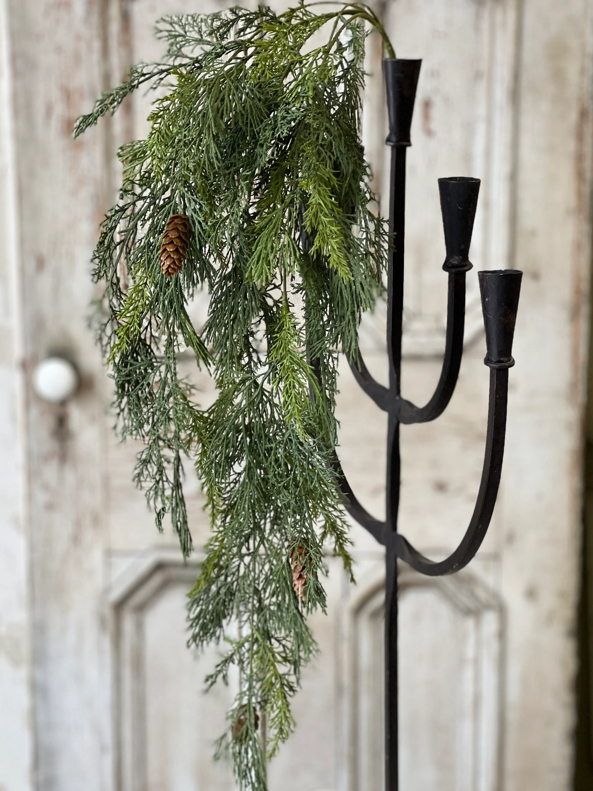 Advent Greens Collection