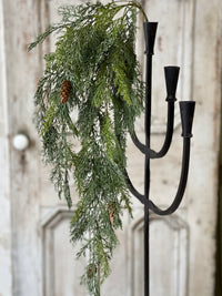 Advent Greens Collection