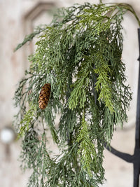 Advent Greens Collection