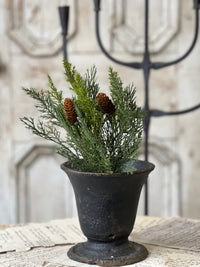 Advent Greens Collection