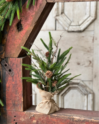 Pencil Pine Tree Soft Touch