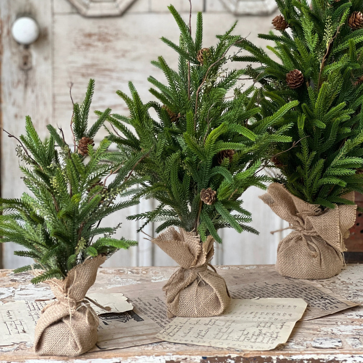 Pencil Pine Tree Soft Touch