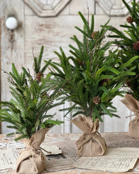 Pencil Pine Tree Soft Touch