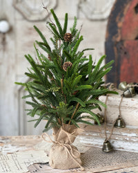 Pencil Pine Tree Soft Touch