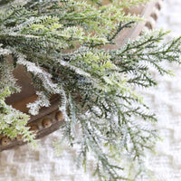 Bent Bough Cedar Greenery Collection