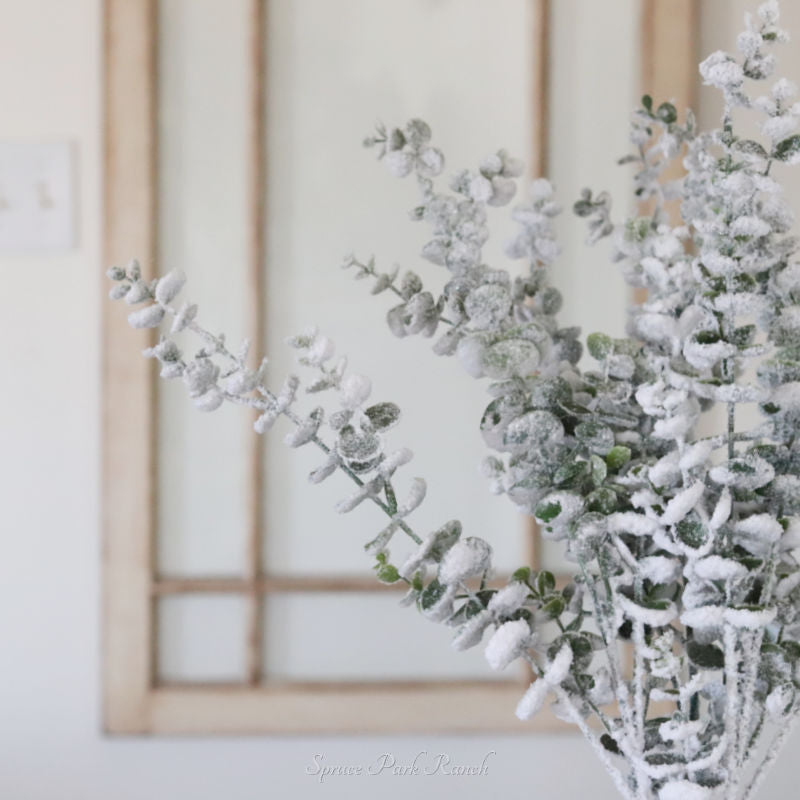 Snowy Frosted Eucalyptus Stem