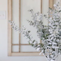 Snowy Frosted Eucalyptus Stem
