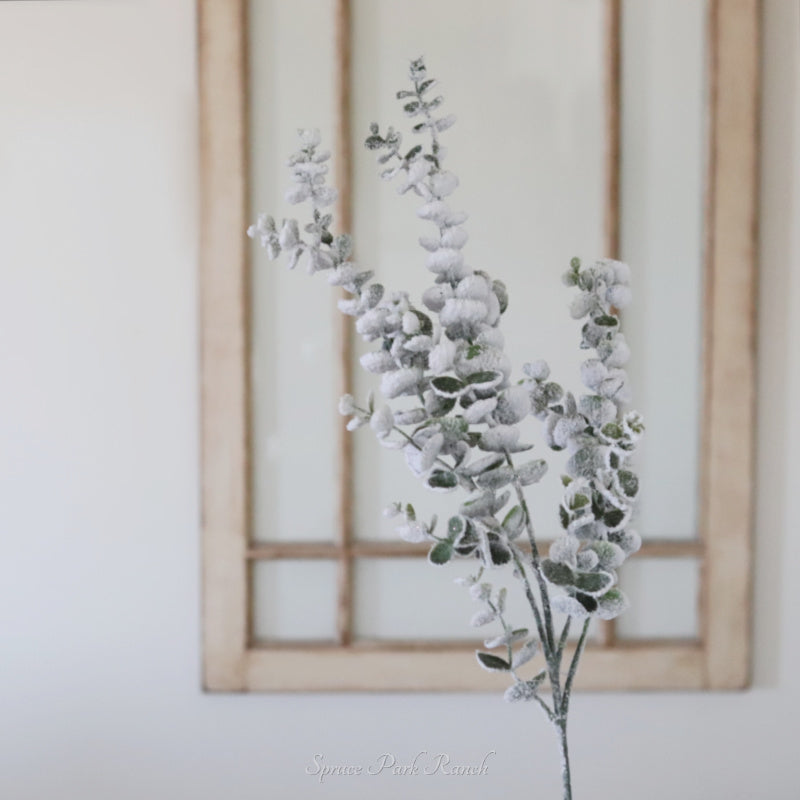 Snowy Frosted Eucalyptus Stem