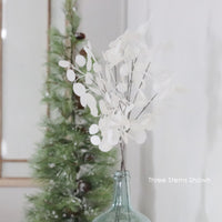 White Glitter Silver Dollar Eucalyptus Pick 29"L