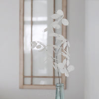 White Glitter Silver Dollar Eucalyptus Pick 29"L