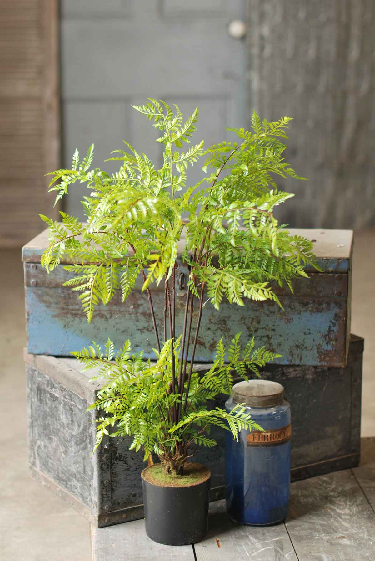 Hillside Grove Tree 25"