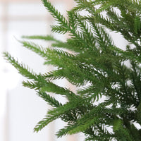 Norfolk Pine Collection Real Touch