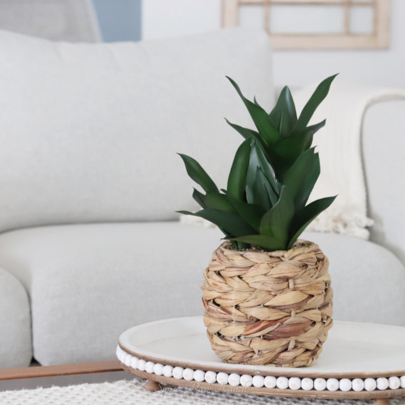 Plant in Woven Basket