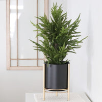 Sverre Black Drop Pot on Gold Stand