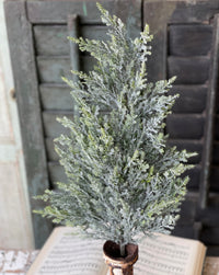 Bent Bough Cedar Greenery Collection