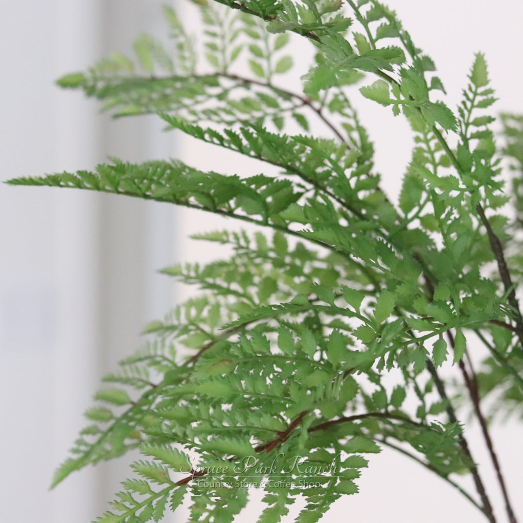 Hillside Grove Tree 33"