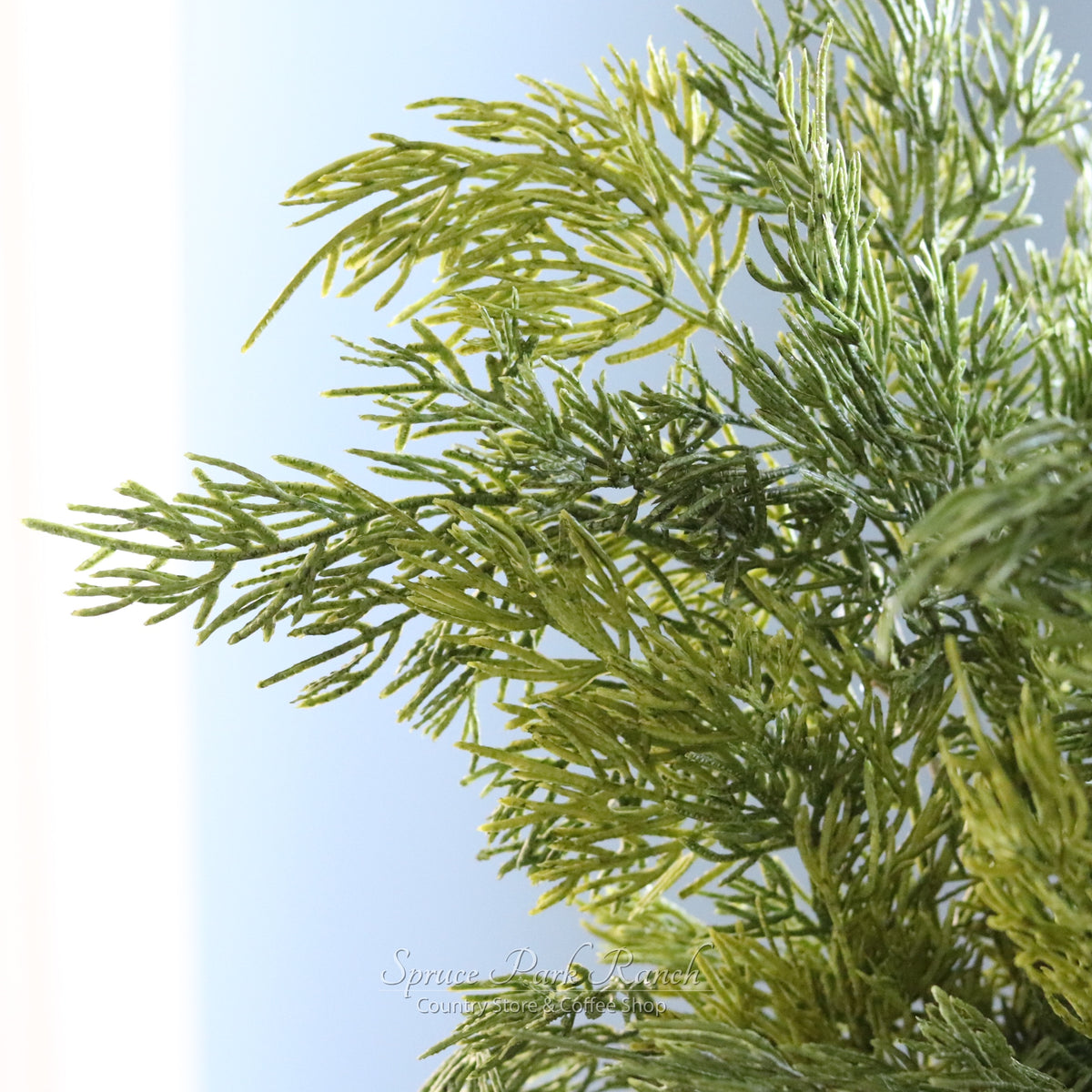 Cedar Pick Real Touch Collection