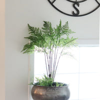 Hillside Grove Tree 25"