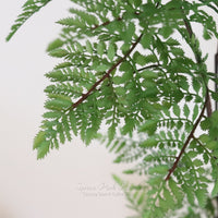 Hillside Grove Tree 33"