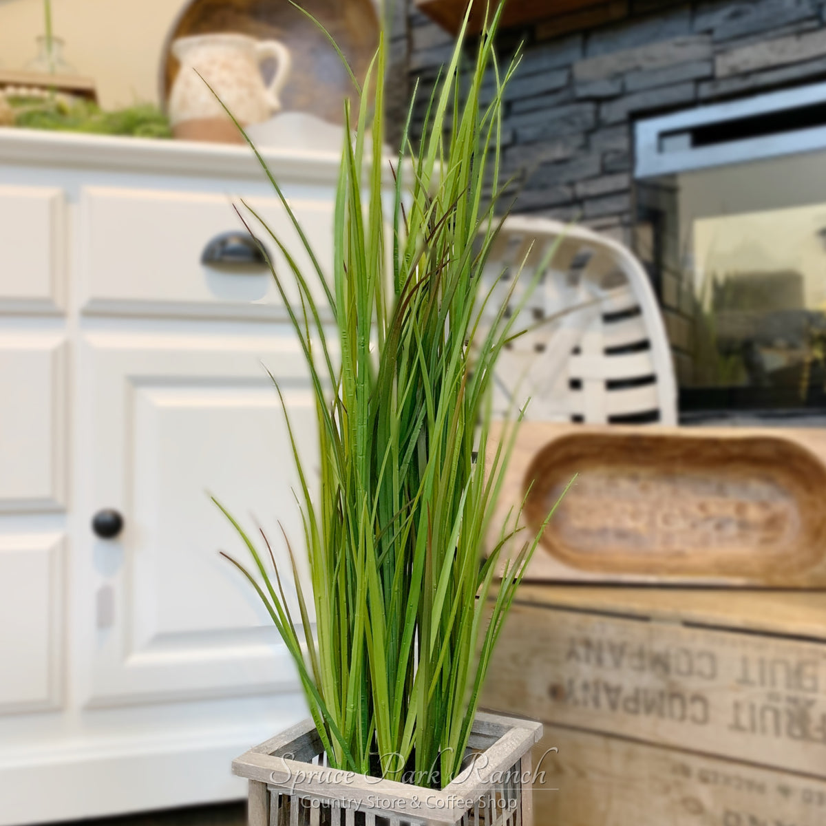 Potted Tall Grass