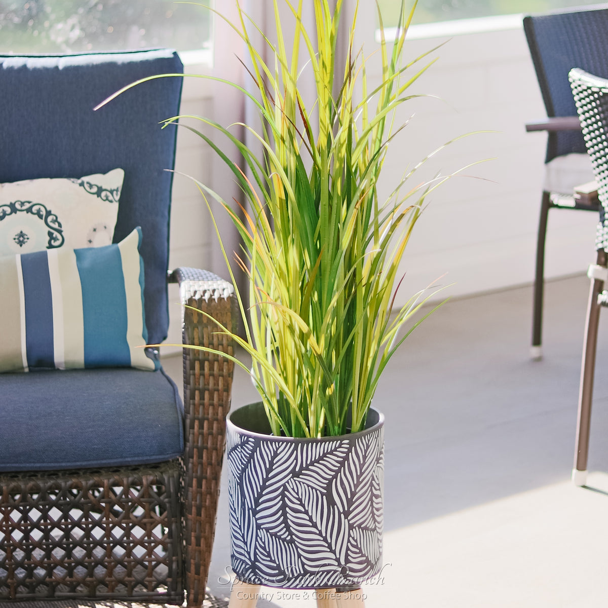 Potted Tall Grass