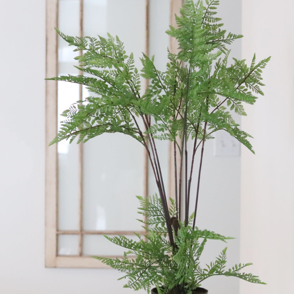 Hillside Grove Tree 25"