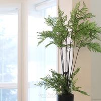 Hillside Grove Tree 25"