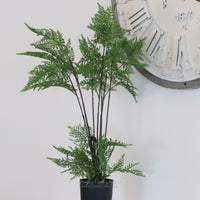 Hillside Grove Tree 25"