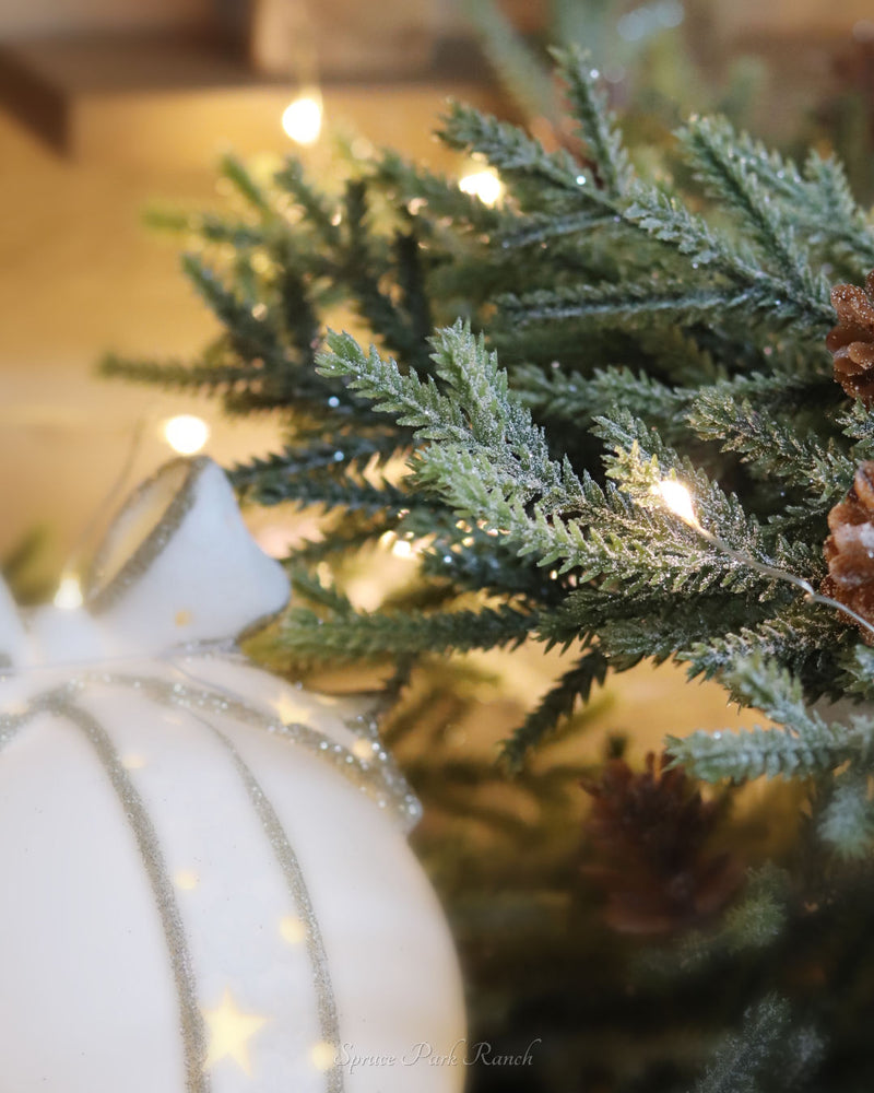 Our Favourite Christmas Greenery