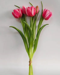 Double Late Tulip Bundle Cotton Candy Real Touch 16.5"