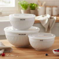 Stoneware Bowl Set of 3