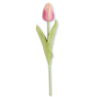 Tulip Real Touch Stem Two-Tone Dark Pink 10.5”