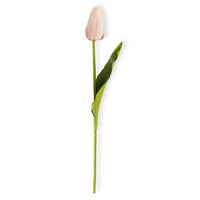 Tulip Real Touch Stem Pink 10.5”