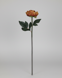 Peony Stem Real Touch Burgundy Yellow 20.5”