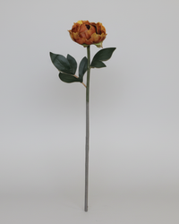 Peony Stem Real Touch Burgundy Yellow 20.5”