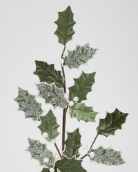 Sage Glittered Holly Spray 26"H