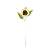Cream Sunflower Stem 28"