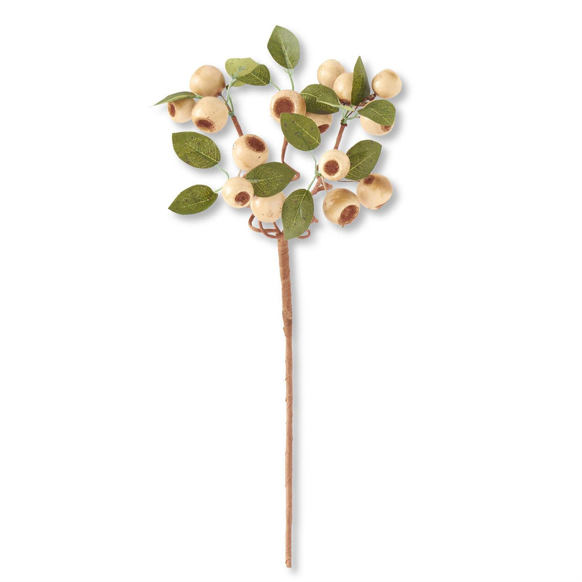 Cream Pod Stem 19"