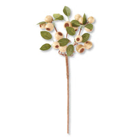 Cream Pod Stem 19"