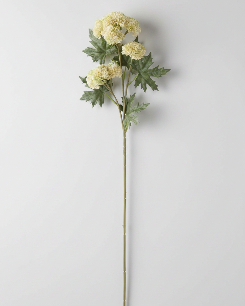 Sedum Stem Cream and Green 28"