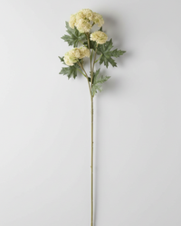 Sedum Stem Cream and Green 28"
