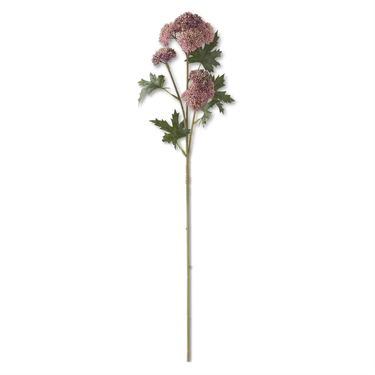 Sedum Stem Pink 28"