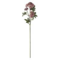 Sedum Stem Pink 28"