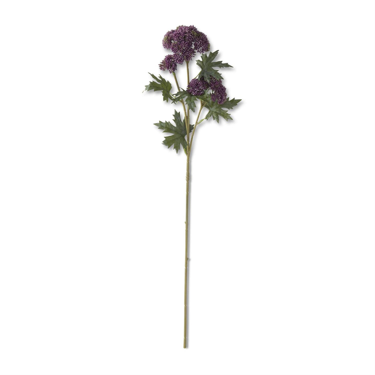 Sedum Stem Dark Purple 28"