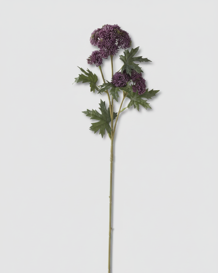 Sedum Stem Dark Purple 28"