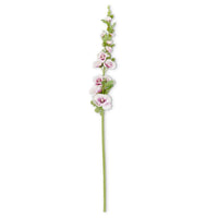 Hollyhock Stem Purple 43"