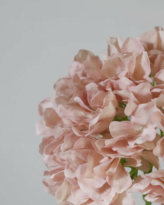 Light Peach Hydrangea Stem 20"