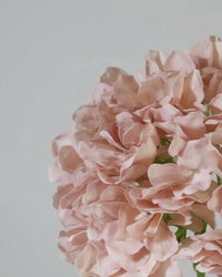 Light Peach Hydrangea Stem 20"