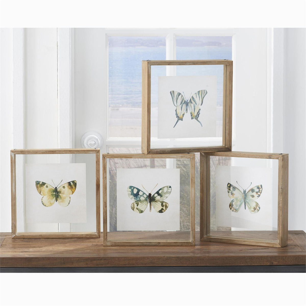 Butterfly Shadow Box